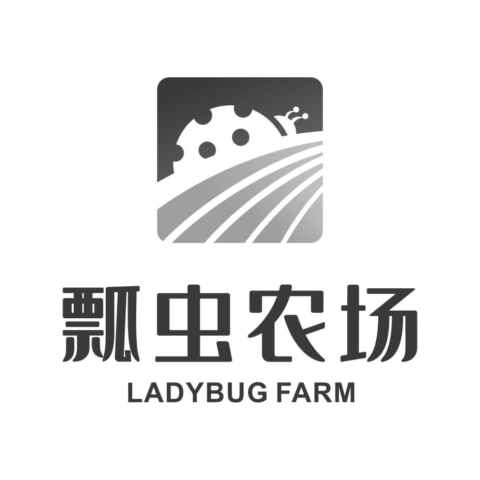 瓢虫农场LADYBUGFARM