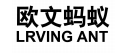 欧文蚂蚁 LRVUNG ANT