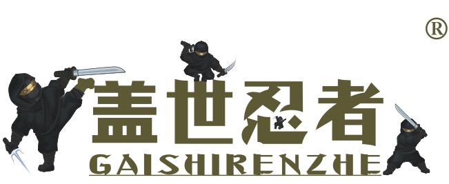 盖世忍者