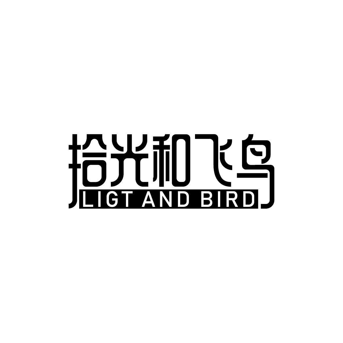 拾光和飞鸟 LIGT AND BIRD