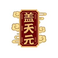 盖天元