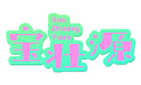宝壮源