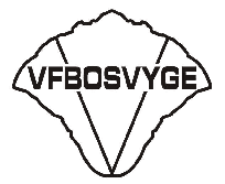 VFBOSVYGE