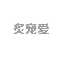 炙宠爱