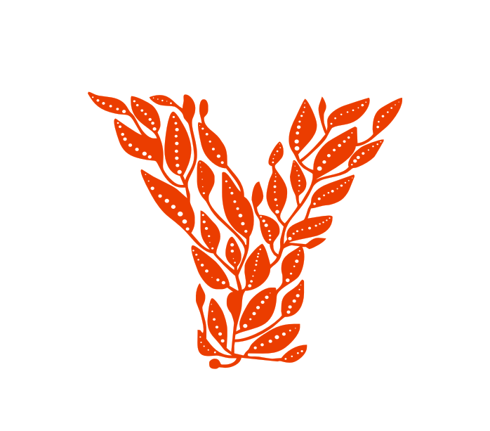 字母Y