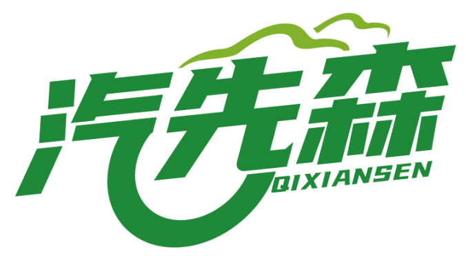 汽先森QIXIANSEN