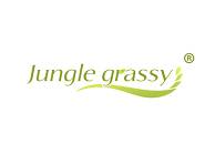 Jungle grassy（丛林之萃）