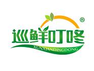 巡鲜叮咚