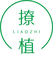 撩植
LIAOZHI