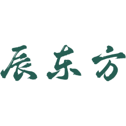 辰东方