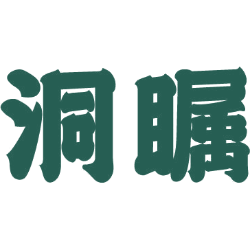 洞瞩