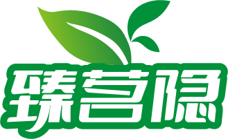 臻茗隐