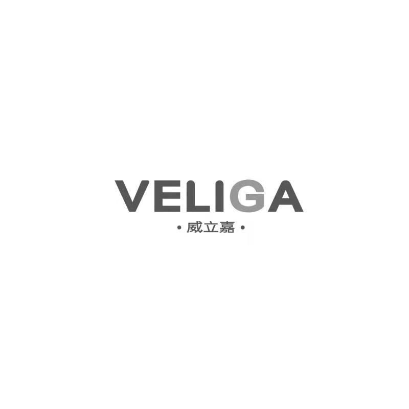 威立嘉   VELIGA