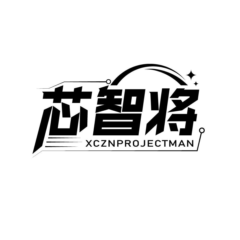 芯智将 XCZNPROJECTMAN