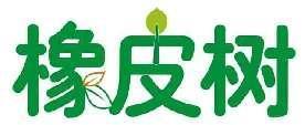橡皮树