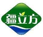 疆立方