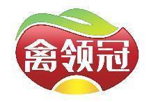 禽领冠