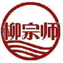 柳宗师