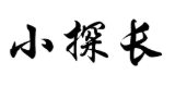 小探长