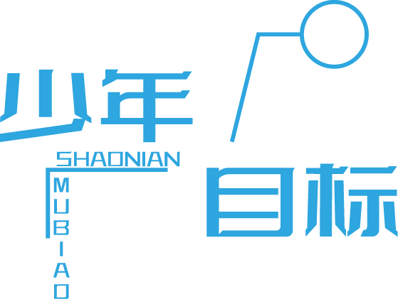 少年目标