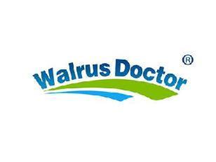 WALRUS DOCTOR（海象医生）