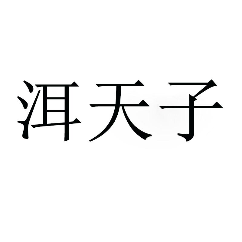 洱天子