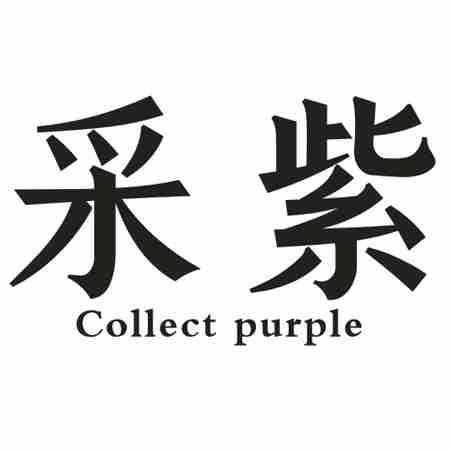 采紫 COLLECT PURPLE