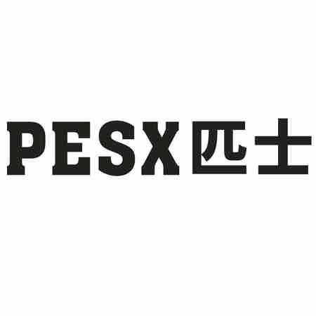 PESX匹士
