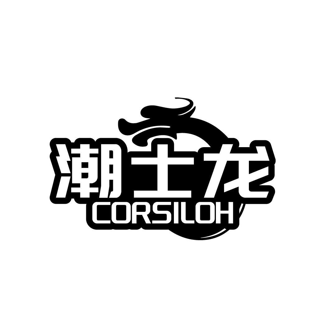 潮士龙
CORSILOH