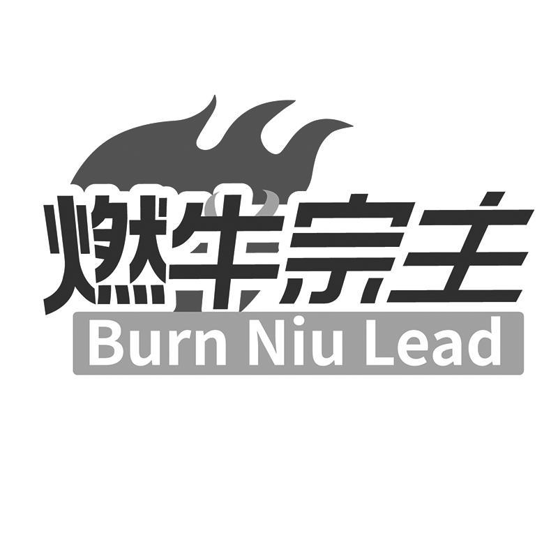 燃牛宗主     Burn Niu Lead