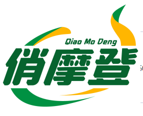 俏摩登