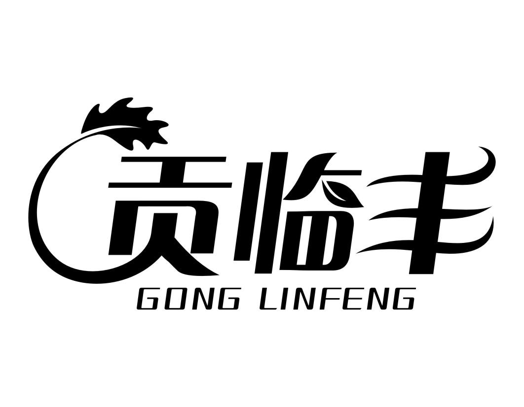 贡临丰GONGLINFENG