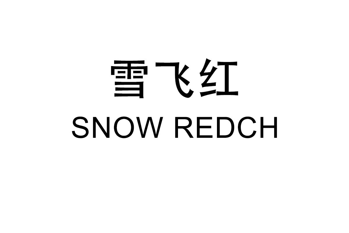 雪飞红
SNOW REDCH