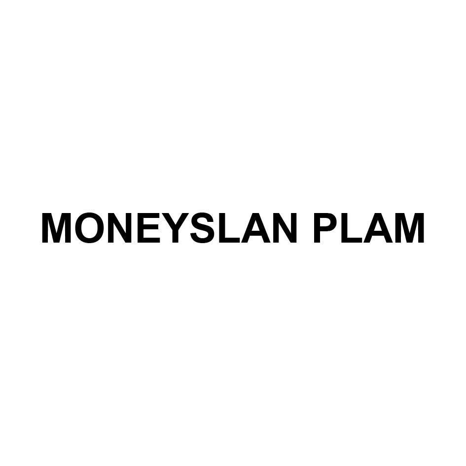 MONEYSLAN PLAM