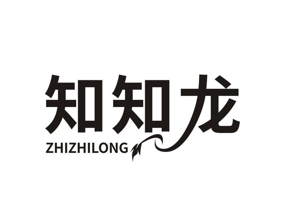 知知龙 ZHIZHILONG