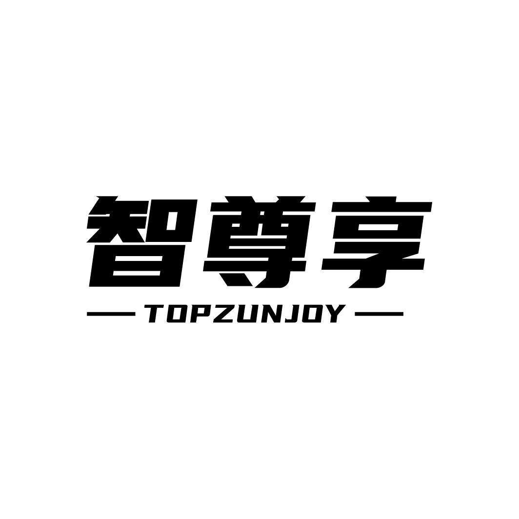 智尊享
TOPZUNJOY