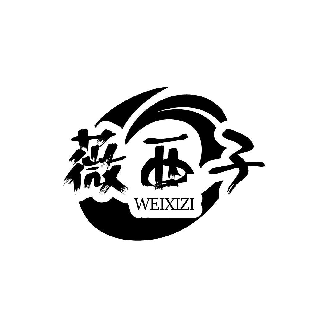 薇西子
WEIXIZI