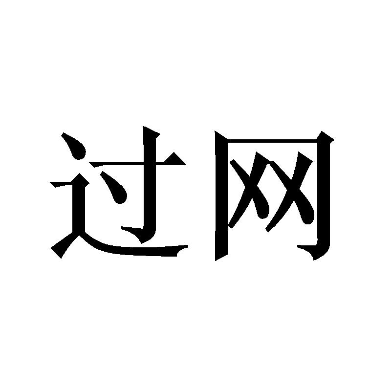 过网