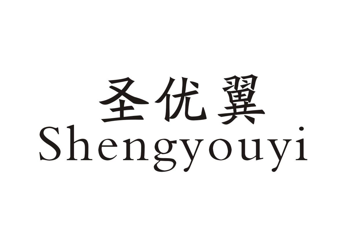 圣优翼Shengyouyi