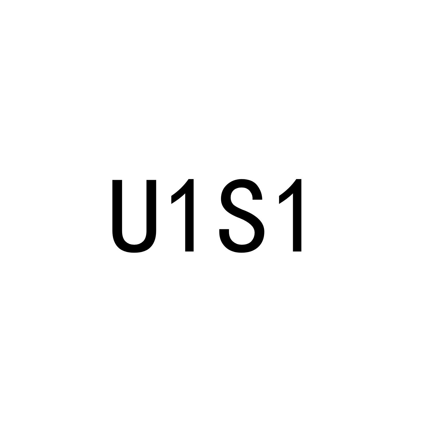 U1S1