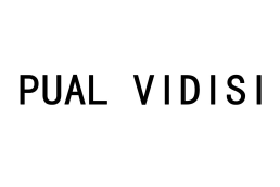 PUAL VIDISI