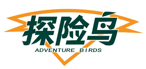 探险鸟 ADVENTURE BIRDS