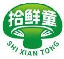 拾鲜童