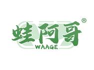 蛙阿哥