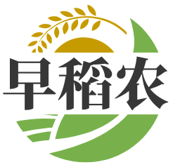 早稻农