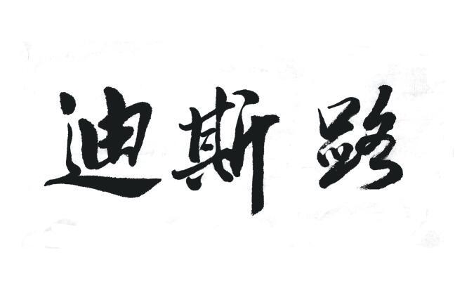 迪斯路