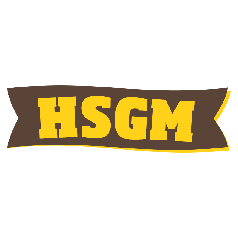 HSGM