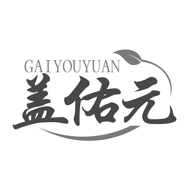 盖佑元