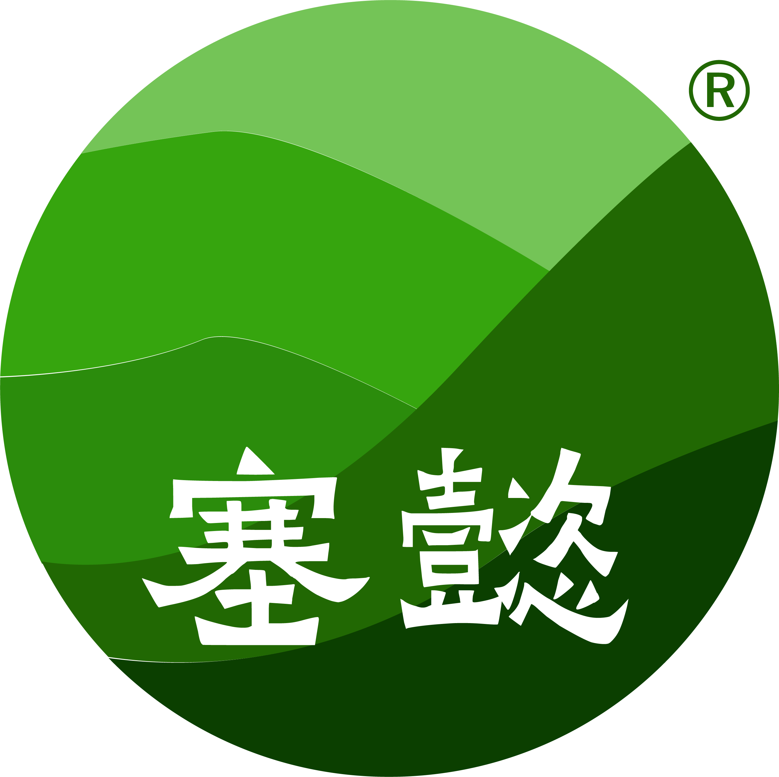 塞懿
