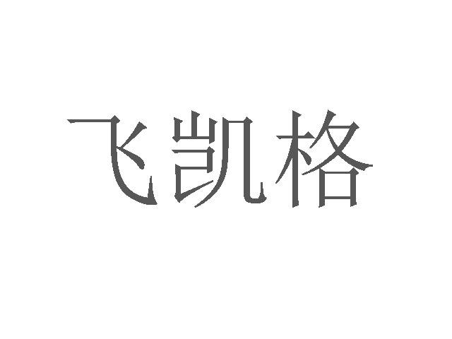 飞凯格